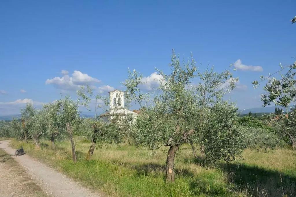 Anba Otel Floransa Dış mekan fotoğraf